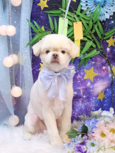 20250711琥珀くん